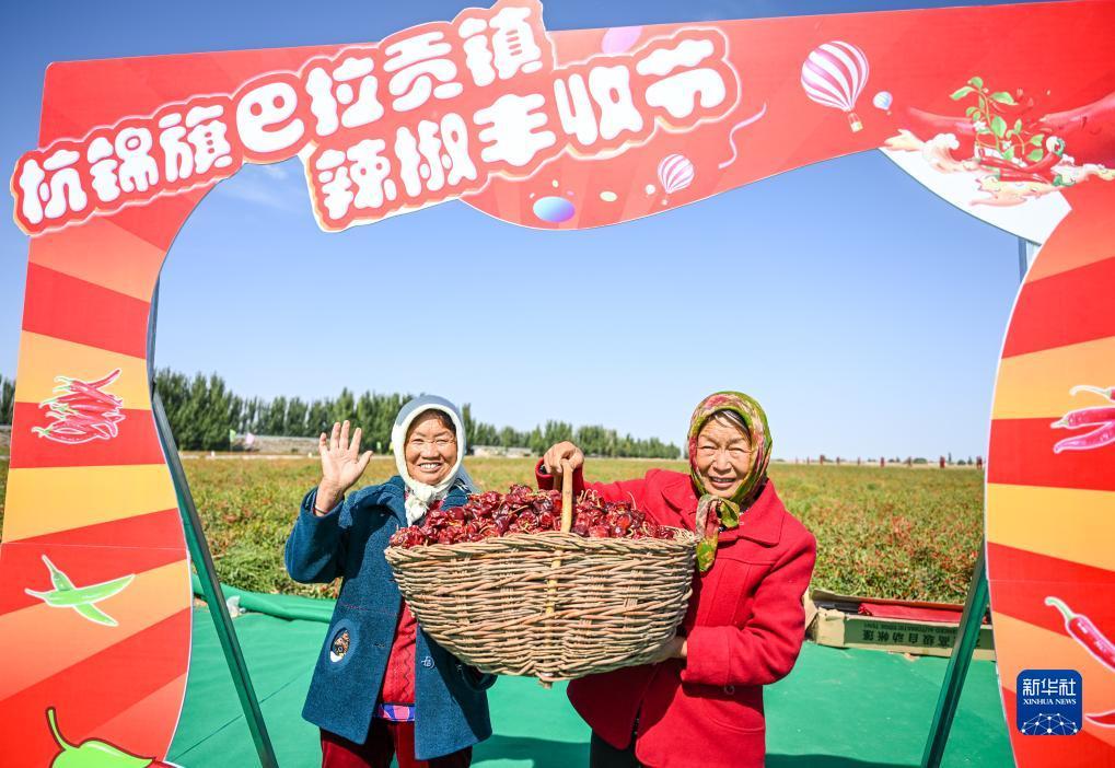 澳门星际官网